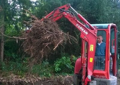 Dessouchage du jardin pour construction