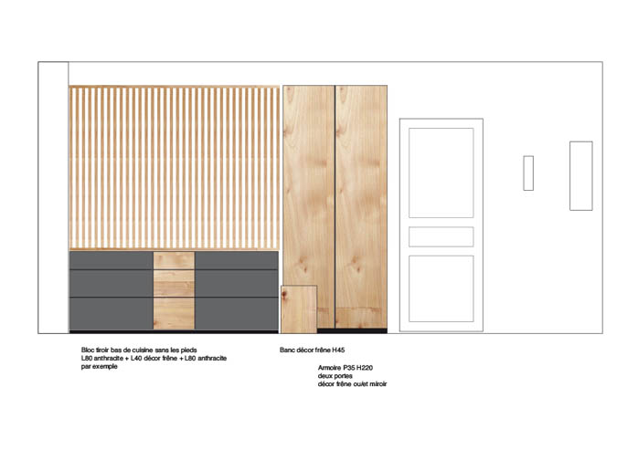 Elévation du mur côté porte d'entrée, pour prévisualiser le lit surélevé sur des meubles de rangements Aménagement d'un studio à Paris