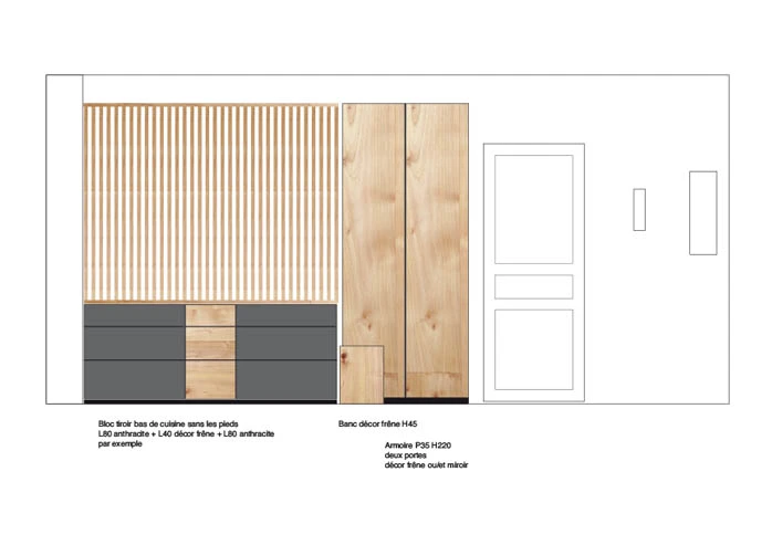 Elévation du mur côté porte d'entrée, pour prévisualiser le lit surélevé sur des meubles de rangements Aménagement d'un studio à Paris